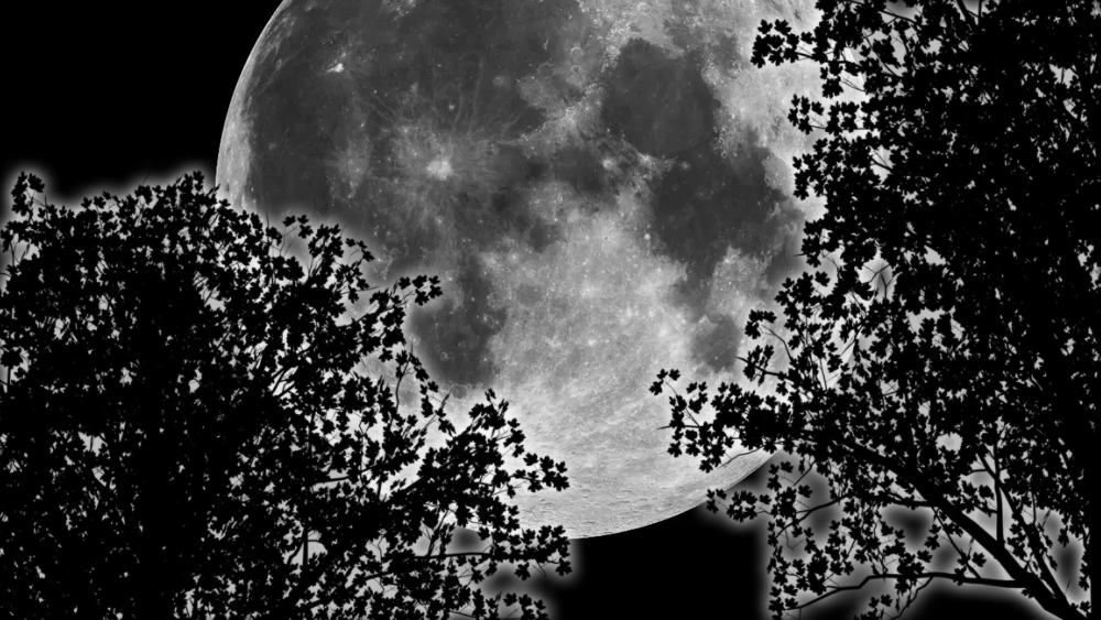 ピアノソナタ第14番「月光ソナタ」：ルートヴィヒ・ヴァン・ベートーヴェンのイメージ画像