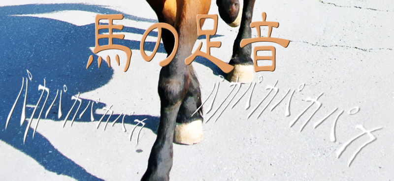 アスファルトを歩く馬のイメージ画像