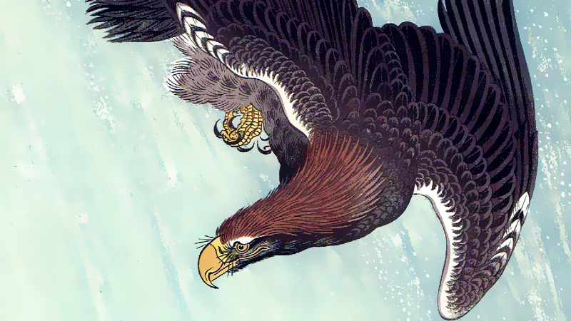 鷹（タカ）の鳴き声のイメージ画像